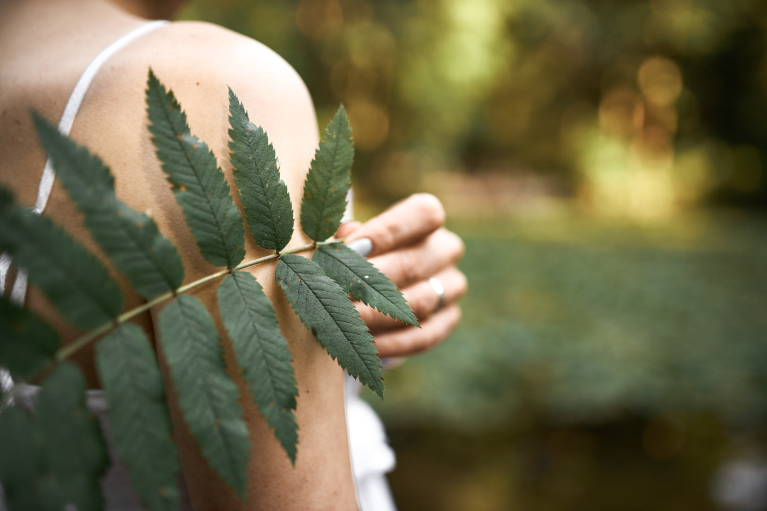 Depurativi Naturali e Controllo del Peso